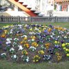 img_1829-1920